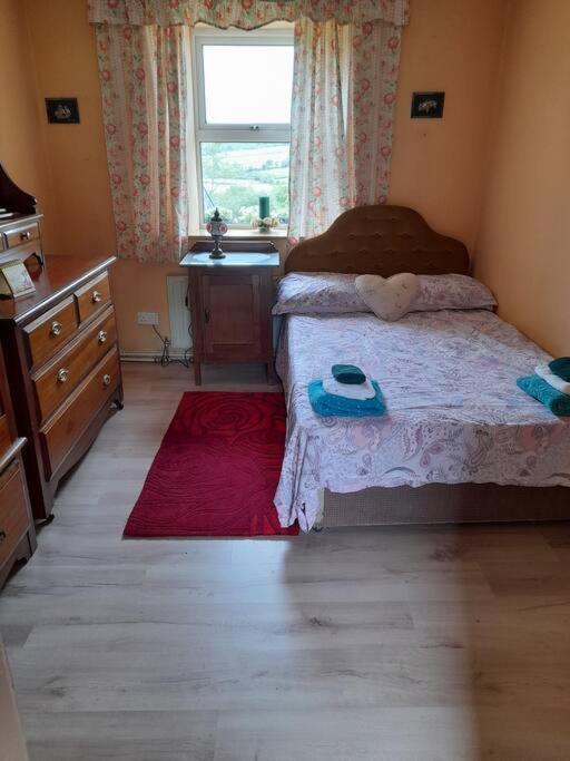 Granny'S Cottage, A Lovely Lakeside Cottage ドネゴール エクステリア 写真